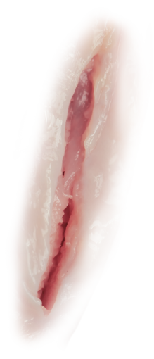 wound  png overlay meat freshness food wound backgrounds