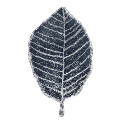  Winter Leaves Overlay PNG