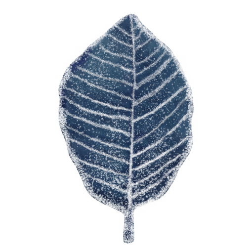 frozen  Winter Leaves Overlay PNG