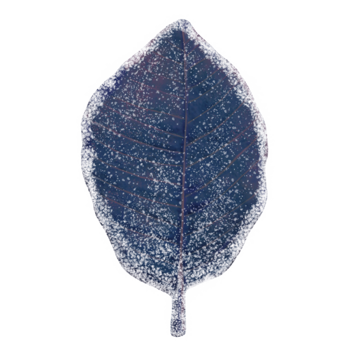 frozen  Winter Leaves Overlay PNG