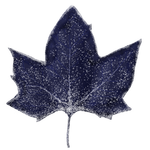 frozen  Winter Leaves Overlay PNG