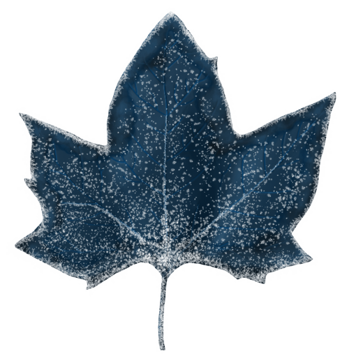frozen  Winter Leaves Overlay PNG