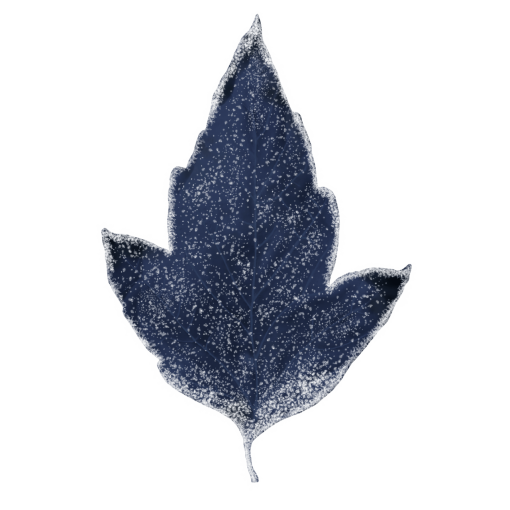 frozen  Winter Leaves Overlay PNG