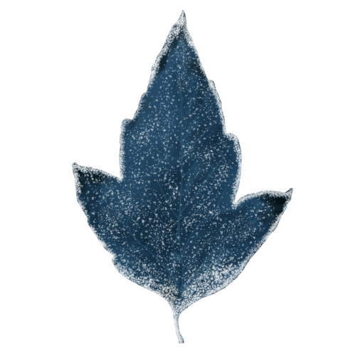 frozen  Winter Leaves Overlay PNG
