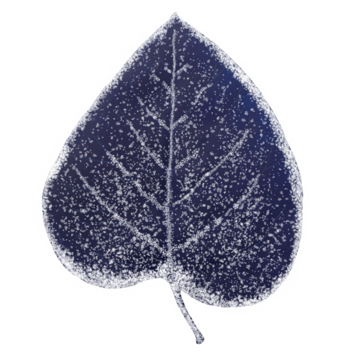 frozen  Winter Leaves Overlay PNG