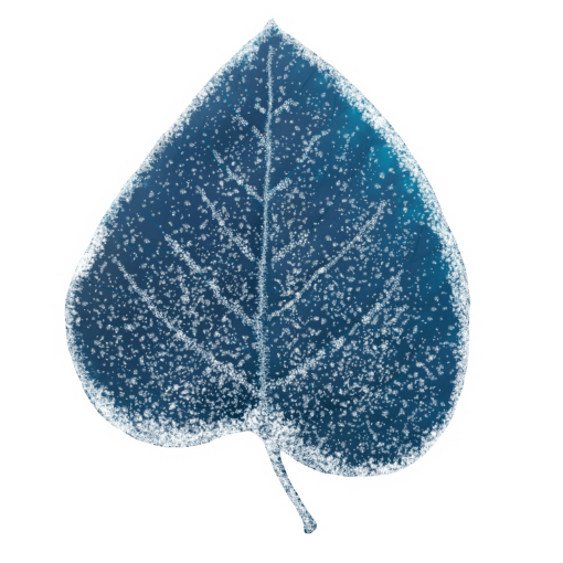 frozen  Winter Leaves Overlay PNG