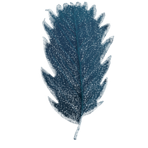 frozen  Winter Leaves Overlay PNG