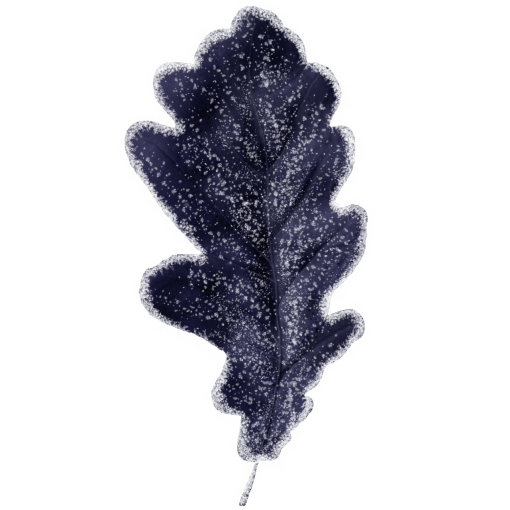 frozen  Winter Leaves Overlay PNG
