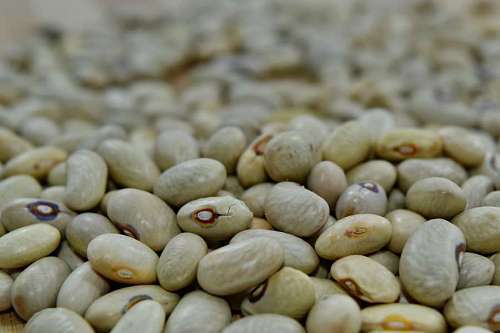 beans bean close ingredients dry vegetables seed nutrition health 