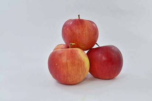 fruit apples diet dietary vegan snack delicious healthy apple enkele juice cocktail dieet  voedsel organic