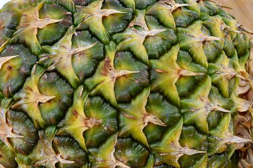 greeny pineapple texture fruit nature yellow greenish healthy exotic tropical
