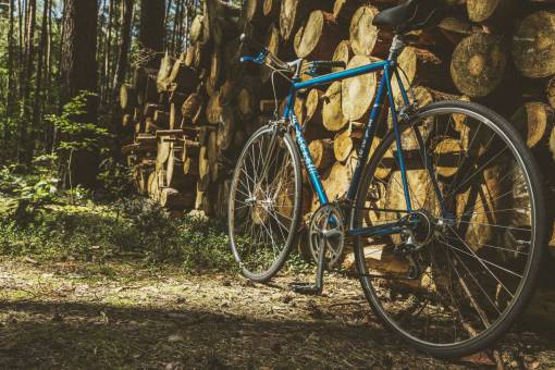 fitness bicicleta bicicleta ejercicio físico al aire libre bosque de madera