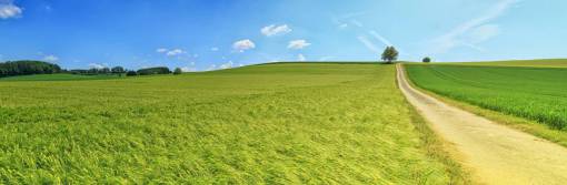 fondos de pantalla hd verde granja campo widescreen fondos de pantalla cielo azul hierba