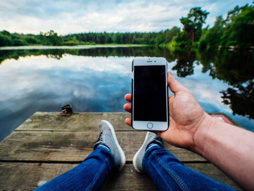 people  man  apple  iphone  cellphone  technology  nature