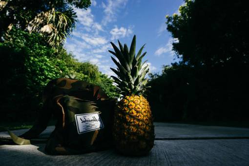 crop-plant pineapple  dessert  appetizer  fruit  juice  crop  road