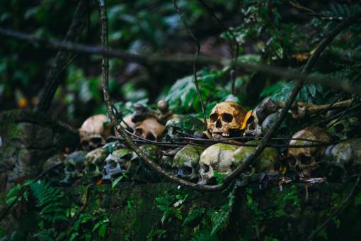 esqueletos cráneo esqueleto verde árboles plantas bosque pared