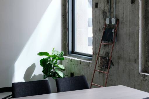 table  chair  window  glass  sunlight  green  plant