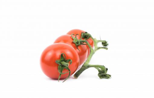 cultivo cultivos de plantas de tomate frutas rojas hojas frescas