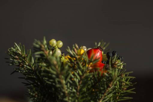 exhibiendo planta de árbol exhibición de fruta roja diseño artificial