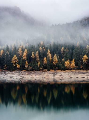 árboles plantas naturaleza bosques lago agua reflexión