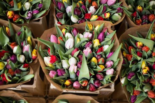 tulips  flowers  bouquet  basket  beauty  nature
