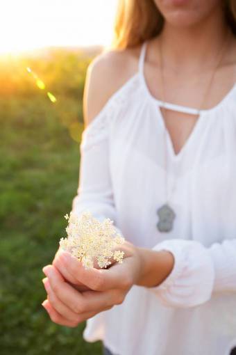 femenino mujer sosteniendo flores dama femenino ramo flora