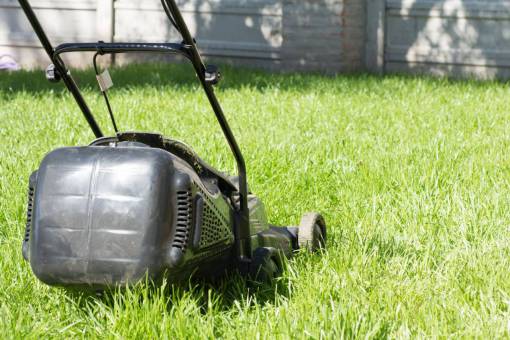 cortar Cortadora de hierba negra en el jardín
