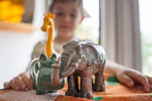 educacion Niño jugando con animales de juguete de plástico
