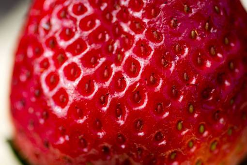 garden Macro detail of a fresh strawberry fruit