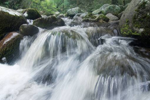 montanas Río de montaña que fluye rápido a través de rocas en el bosque