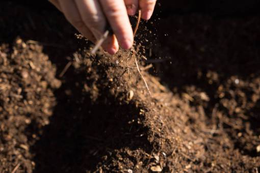 tierra Toma de manos femeninas sosteniendo abono fresco