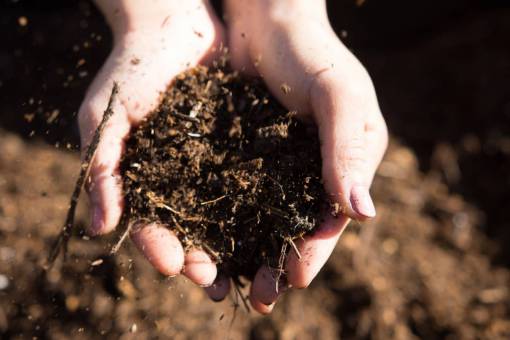 tierra Toma de manos femeninas sosteniendo abono fresco