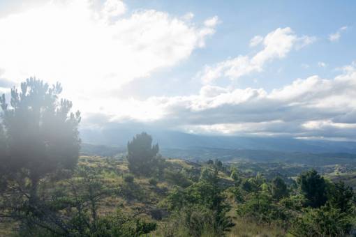 montanas Paisaje de vegetación en las Sierras de Córdoba en Argentina