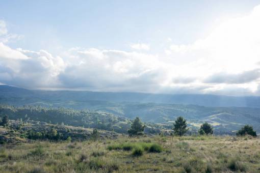 montanas Paisaje de vegetación en las Sierras de Córdoba en Argentina