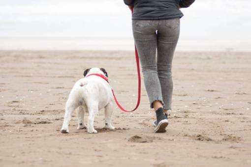 invierno Mujer caminando por la playa con su perro Bulldog Inglés en invierno