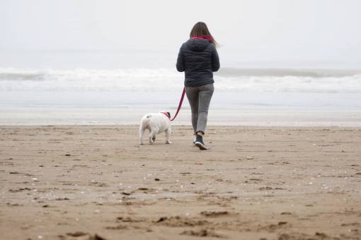 invierno Mujer caminando por la playa con su perro Bulldog Inglés en invierno