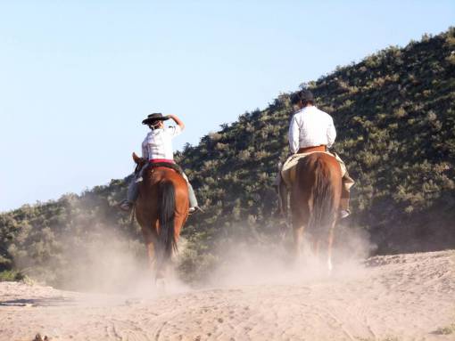 horse Rural scene in Latin America