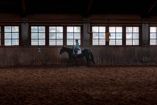 horse Rural scene in Latin America