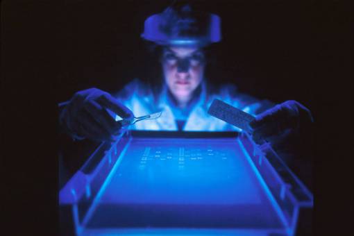 adn Scientist Woman