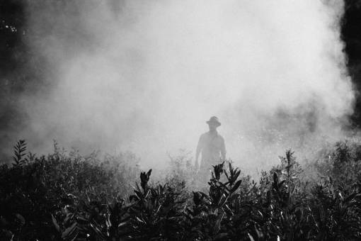blanco y negro niebla gente fría hombre chico solo