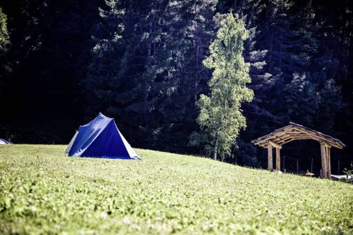 grassland green  grass  highland  grassland  landscape  nature  mountain