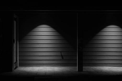 foco luz monocromática noche oscura bosque foco de pared