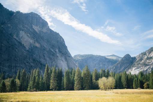 mountain  valley  nature  landscape  trees  forest  plant