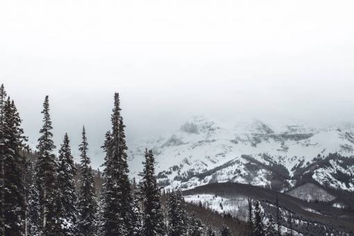 alpes naturaleza paisaje montañas nieve alpes invierno árboles