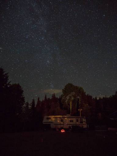 paisaje nocturno cielo nocturno estrellas árboles plantas paisaje naturaleza