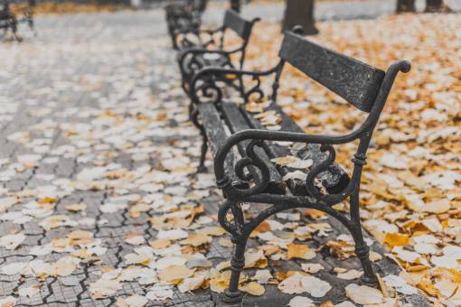 banco parque plaza banco hoja otoño otoño