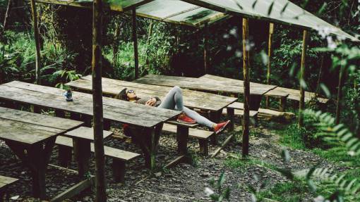 chill people  woman  chill  relax  leaves  woods  forest