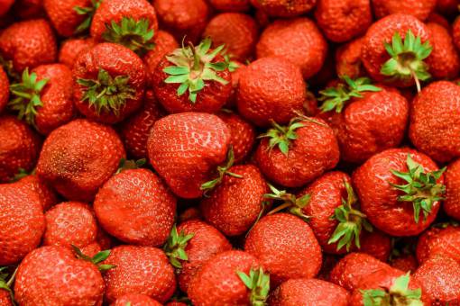 cosecha fruta roja fresca cosecha granja comida fresa