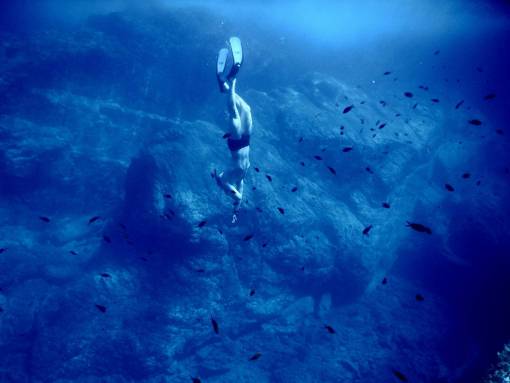 diving-into-water sea  ocean  blue  water  nature  underwater  people