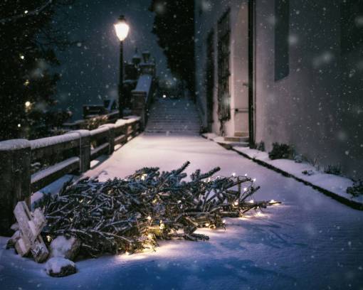 nevado nieve invierno luces árboles abeto calle noche